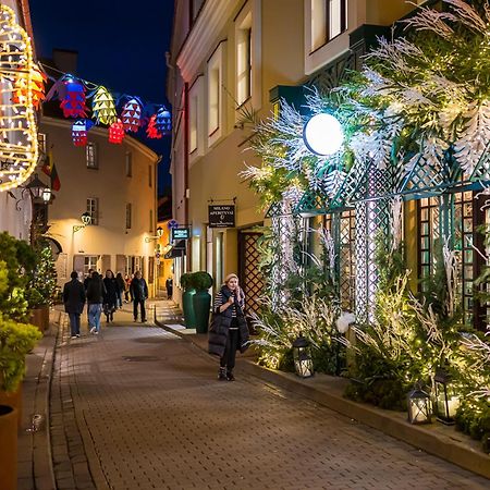Exclusive Gaono Apartment In The Heart Of Old Town Вільнюс Екстер'єр фото