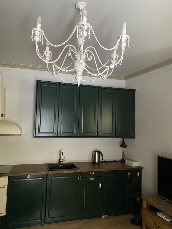 Exclusive Gaono Apartment In The Heart Of Old Town Вільнюс Екстер'єр фото