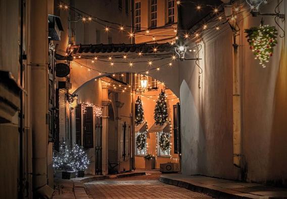 Exclusive Gaono Apartment In The Heart Of Old Town Вільнюс Екстер'єр фото
